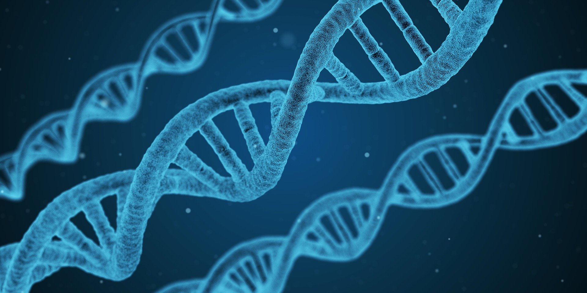 DNA-helix